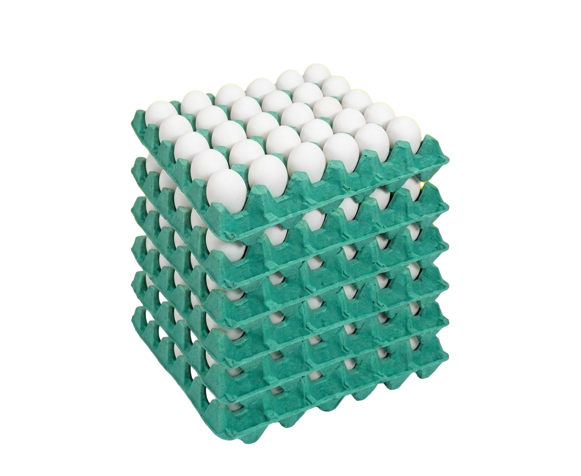 Ovos brancos à granel