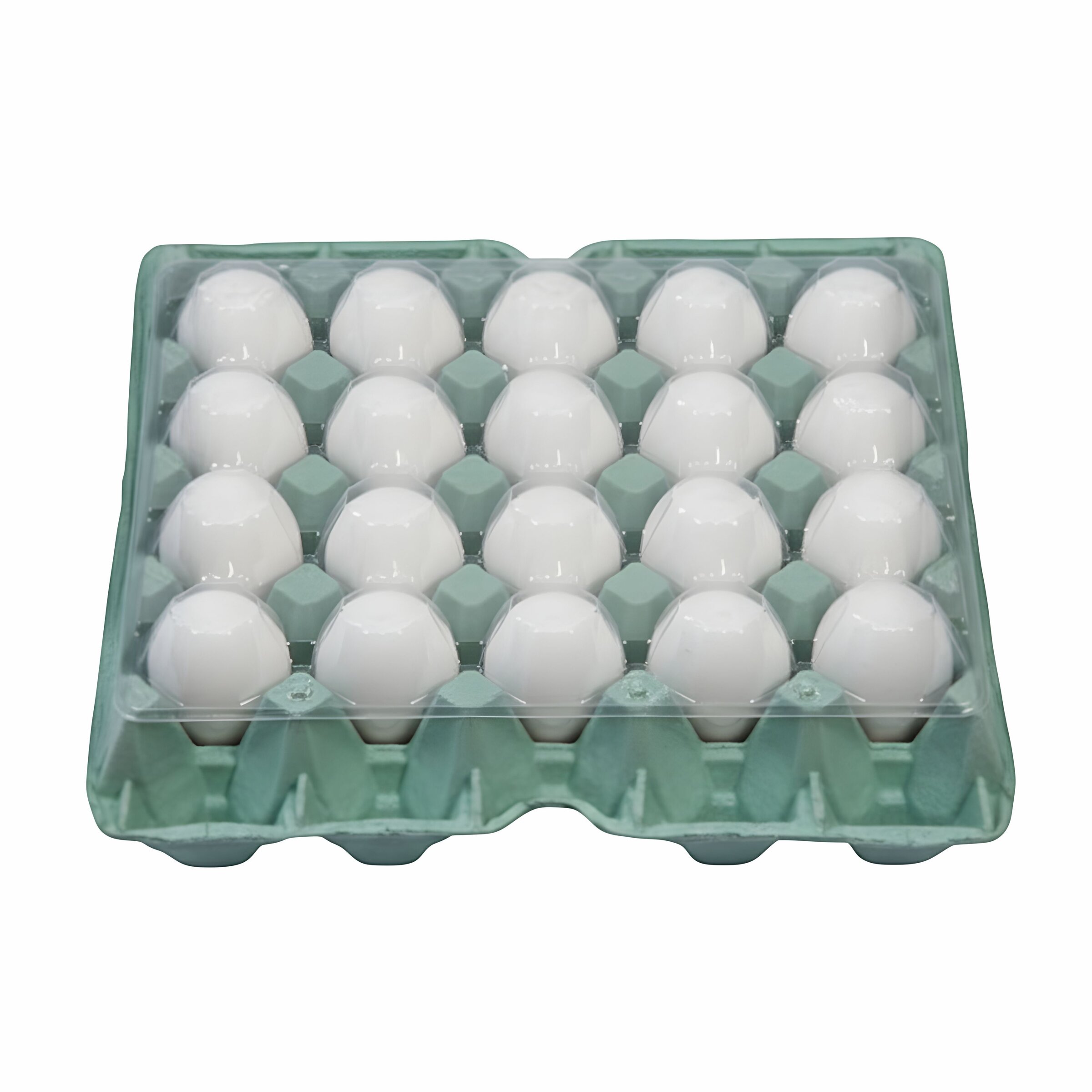 Ovos brancos embalados