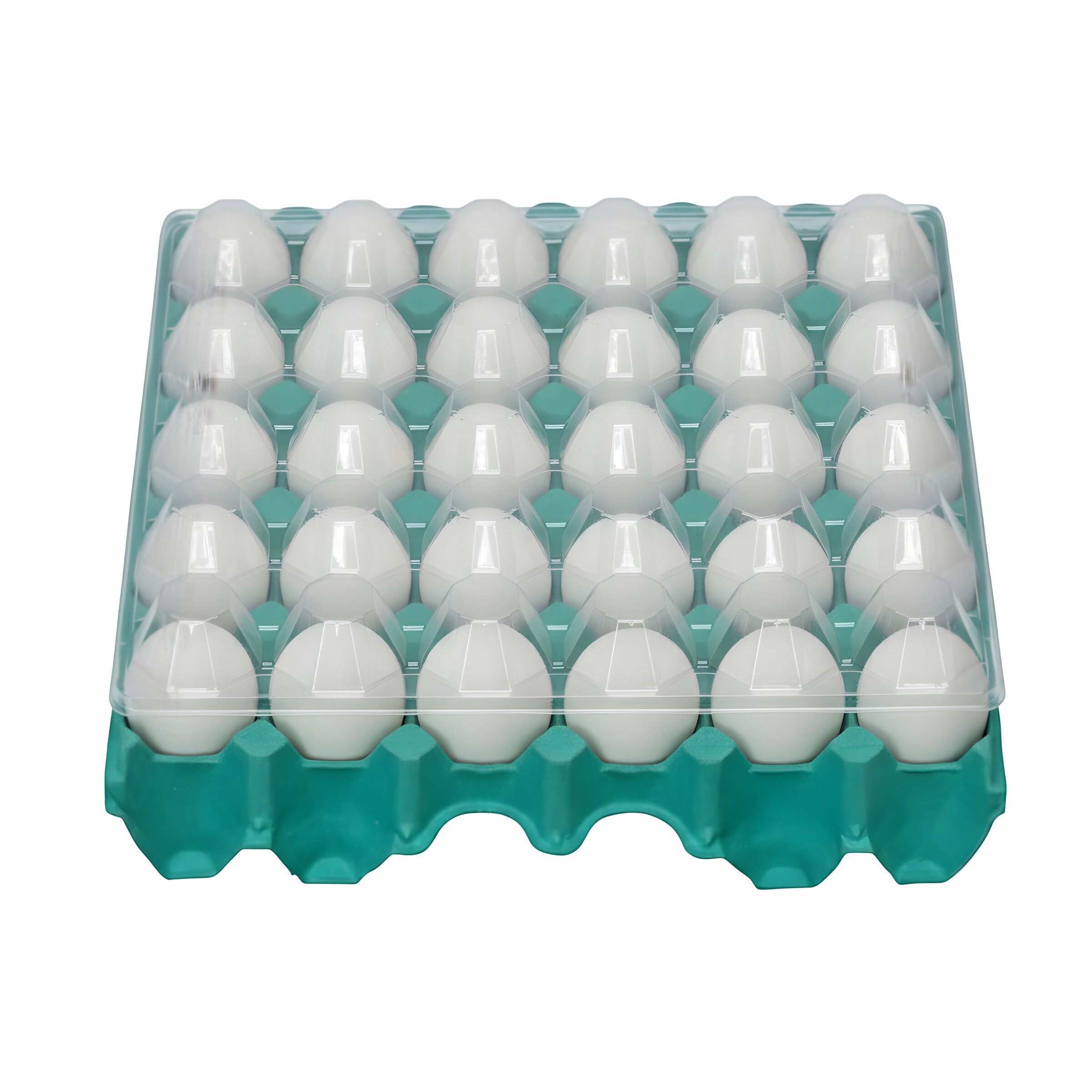 Ovos brancos embalados